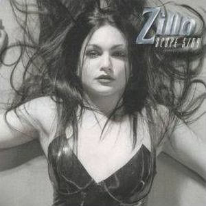 ZilloScope 2004/05