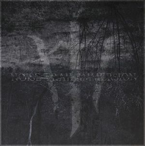 Noise Trail Immersion