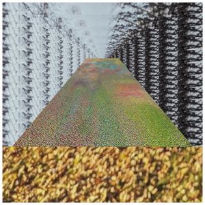 Amniograph