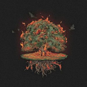 PULSE (Single)