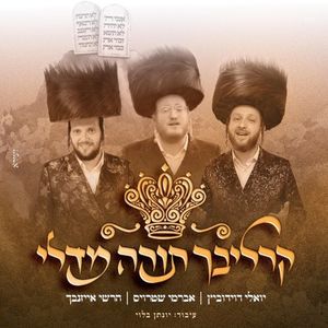 קרליבך תורה מדלי (Single)