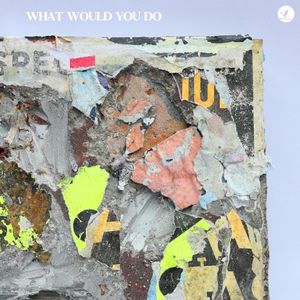 What Would You Do (Single)
