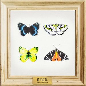 Смотри на Арлекина (Single)