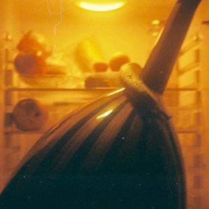 The Fruit Fly (EP)