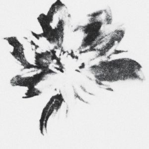 i'm yours (Single)