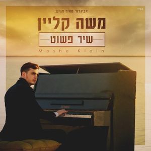 שיר פשוט (Single)