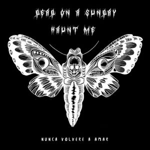 Nunca Volveré A Amar (Single)