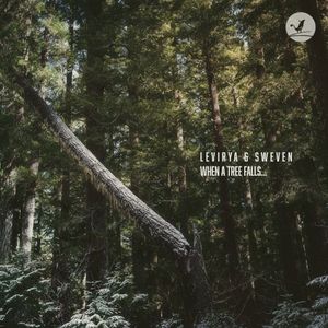 When a Tree Falls… (Single)