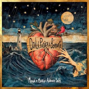 Ojalá pudiera borrarte (Single)