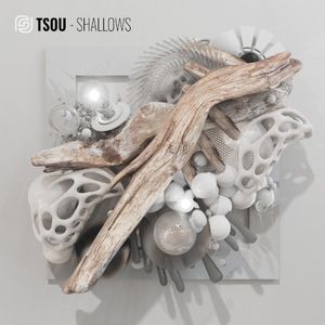 Shallows (EP)