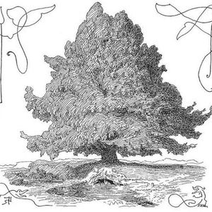 A Tree Song (Single)