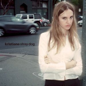 Stray dog