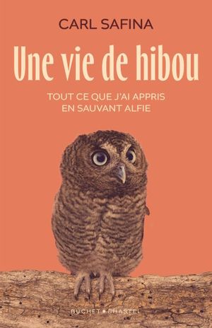 Une vie de Hibou