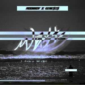 WA$tE (Single)