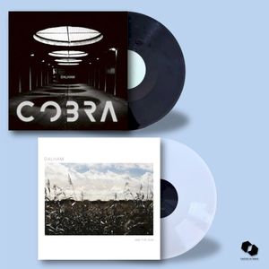 Cobra/And The Sun