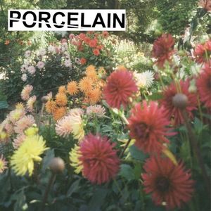 Torch (Single)