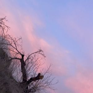 Kali's Return (Single)