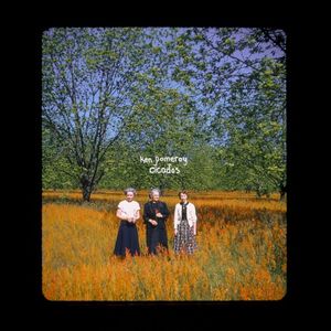 Cicadas (Single)