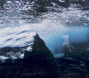The Water In You