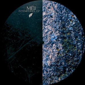 Intemporel EP (EP)
