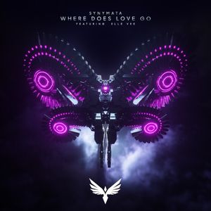 Where Does Love Go (Single)