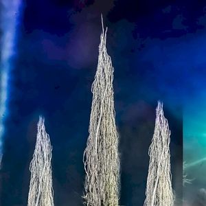 Chaos w/ Gloom. (Single)