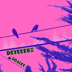 Devereux Scales