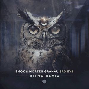 3rd Eye (Ritmo remix)