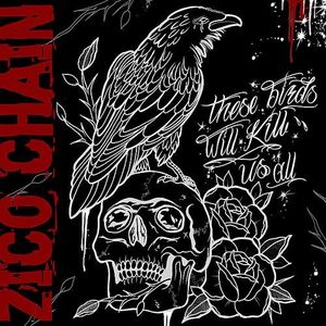 These Birds Will Kill Us All (Single)
