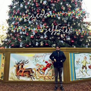 The Chipmunk Song (Christmas Don’t Be Late) (Single)