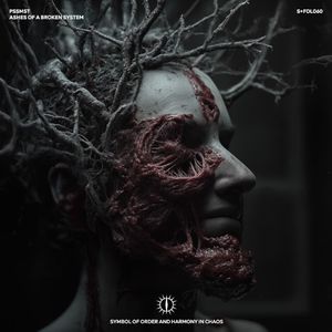 ASHES OF A BROKEN SYSTEM (Single)