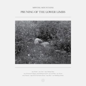 Pruning of the Lower Limbs