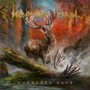 Numbered Days (Single)