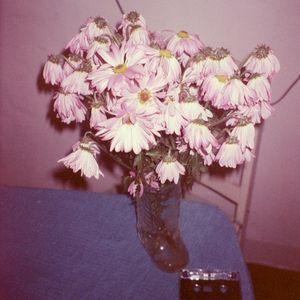 The Man Who Bites His Tongue