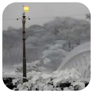 The Language of Memory (Single)