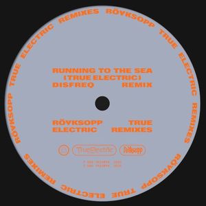 Running to the Sea (Disfreq remix)