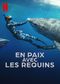 En paix avec les requins