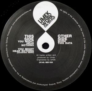 Work This Data EP (EP)