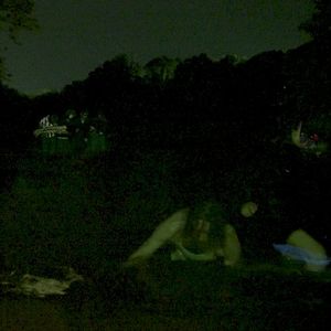 Shed Lake (Single)