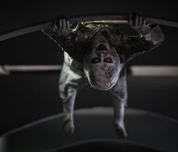 image-https://media.senscritique.com/media/000022912157/0/the_school.jpg