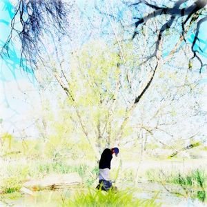 Sentence (Single)