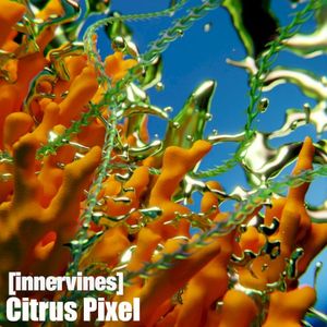 Citrus Pixel (Single)