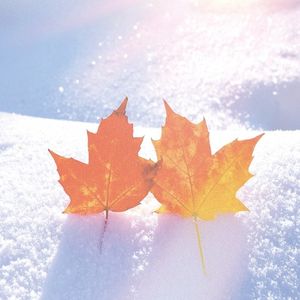 冬紅葉 (Piano) (Single)