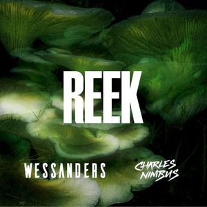 Reek (Single)