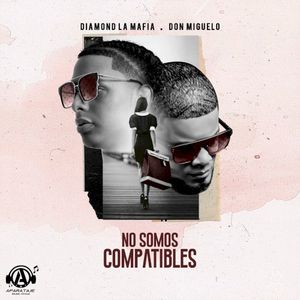 No Somos Compatibles (Single)