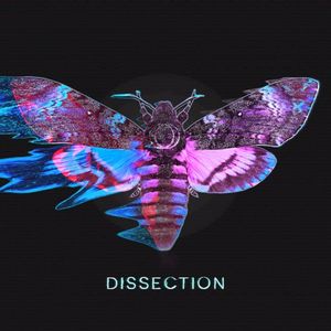 Dissection (Single)