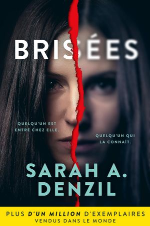 Brisées