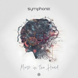 Mess in the Head (Single)