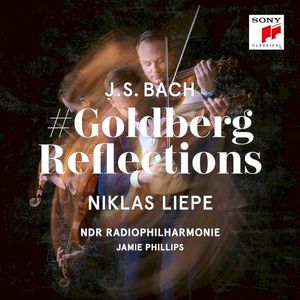 Dialog with Bach, a Goldberg Reflection