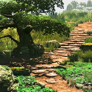 Paths of Sunday 日曜の軌跡